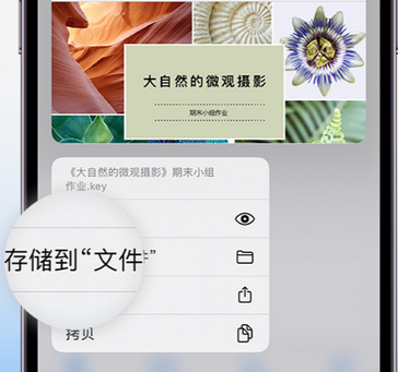 友好apple维修中心分享iPhone文件应用中存储和找到下载文件