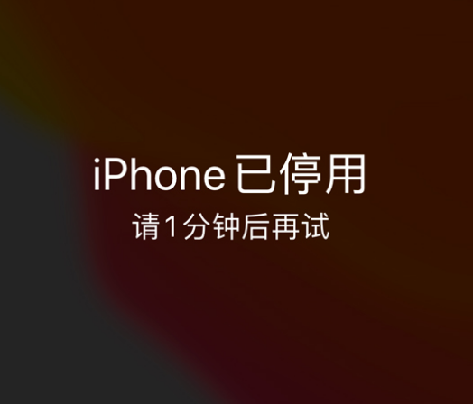 友好苹果手机维修分享:iPhone 显示“不可用”或“已停用”怎么办？还能保留数据吗？ 