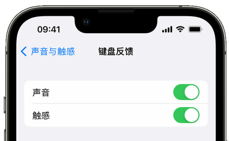 友好苹果手机维修分享iPhone 14触感键盘使用方法 