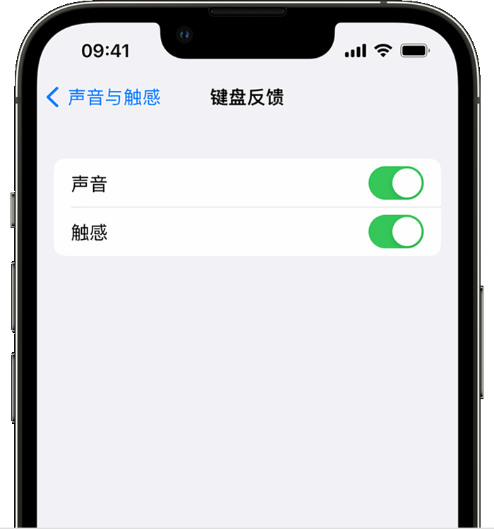 友好苹果14维修店分享如何在 iPhone 14 机型中使用触感键盘 