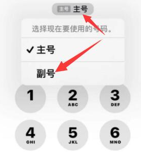 友好苹果14维修店分享iPhone 14 Pro Max使用副卡打电话的方法 