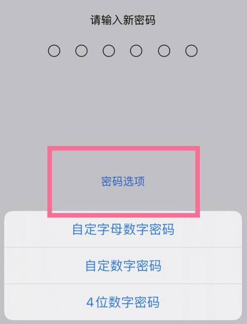 友好苹果14维修分享iPhone 14plus设置密码的方法 