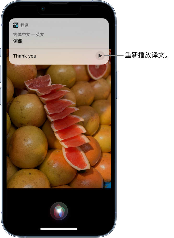 友好苹果14维修分享 iPhone 14 机型中使用 Siri：了解 Siri 能帮你做什么 