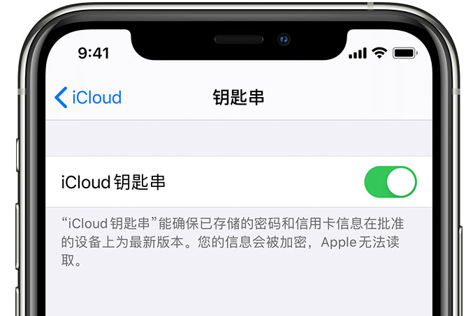 友好苹果手机维修分享在 iPhone 上开启 iCloud 钥匙串之后会储存哪些信息 