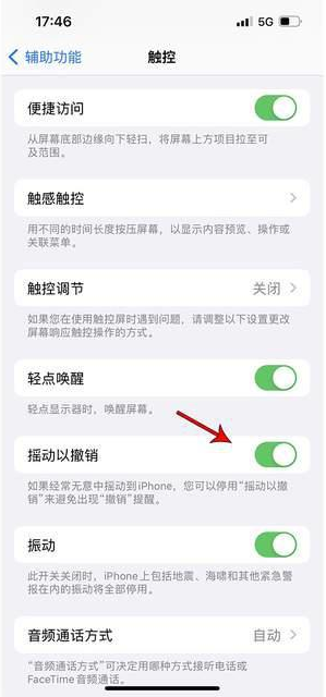 友好苹果手机维修分享iPhone手机如何设置摇一摇删除文字 